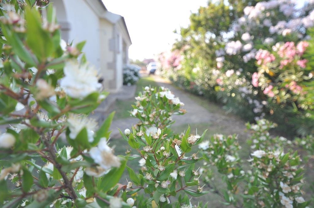 Villette Via Carbonia Budoni Dış mekan fotoğraf